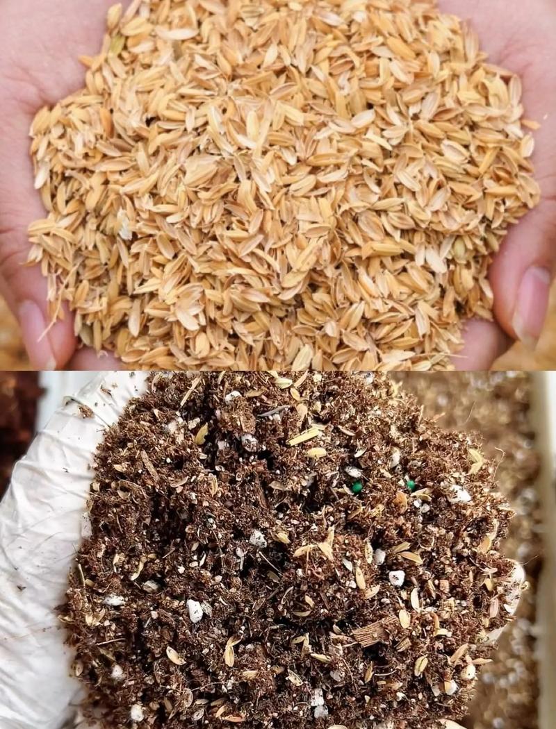 稻壳在园艺种植中的妙用与注意事项
