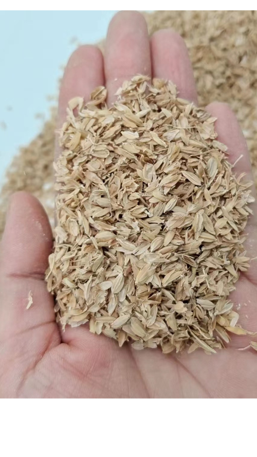 新鲜稻壳大量现货 量大从优